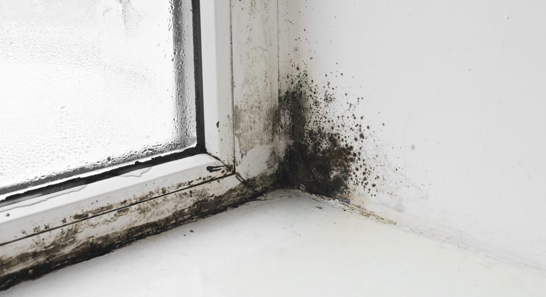 The damp and mold in the wall next to window